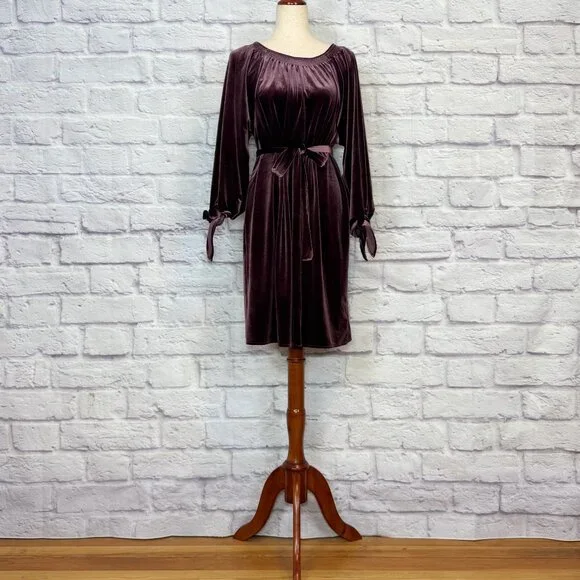 GAP | Dresses | Gap Plum Velvet Kneelength Dress | Poshmark